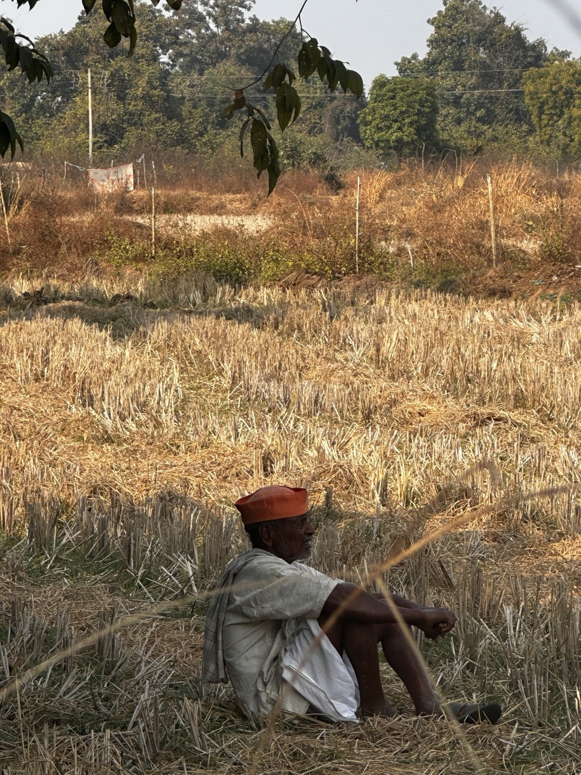 A community member seated beside a field in the Bandhavgarh landscape