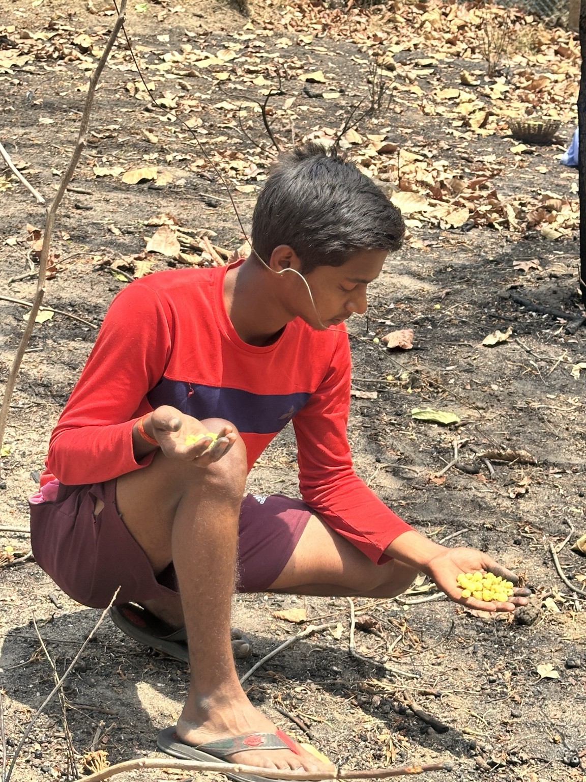 A young community member gathering yellow forest produce from the leaf-covered ground